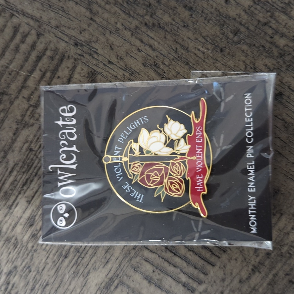 Owlcrate enamel pin from December 2020 box